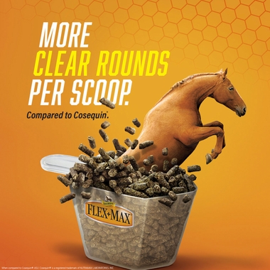 ABSORBINE-FLEX-MAX-OPTIMIZED-PELLETS-ADVANCED-JOINT-HEALTH-10LB