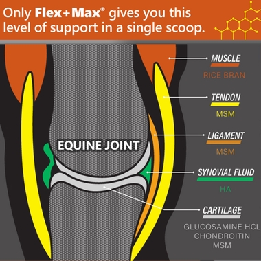 ABSORBINE-FLEX-MAX-OPTIMIZED-PELLETS-ADVANCED-JOINT-HEALTH-5LB