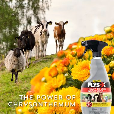 ABSORBINE-FLYS-X-READY-TO-USE-INSECTICIDE-SPRAY-32OZ