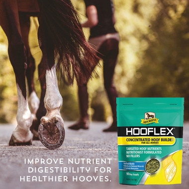 ABSORBINE-HOOFLEX-CONCENTRATED-HOOF-BUILDER-11LB