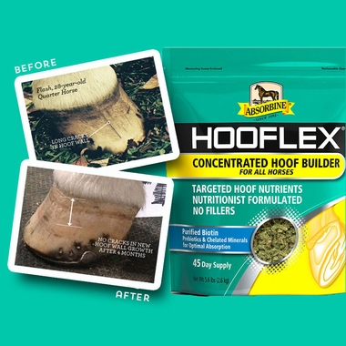 ABSORBINE-HOOFLEX-CONCENTRATED-HOOF-BUILDER-11LB