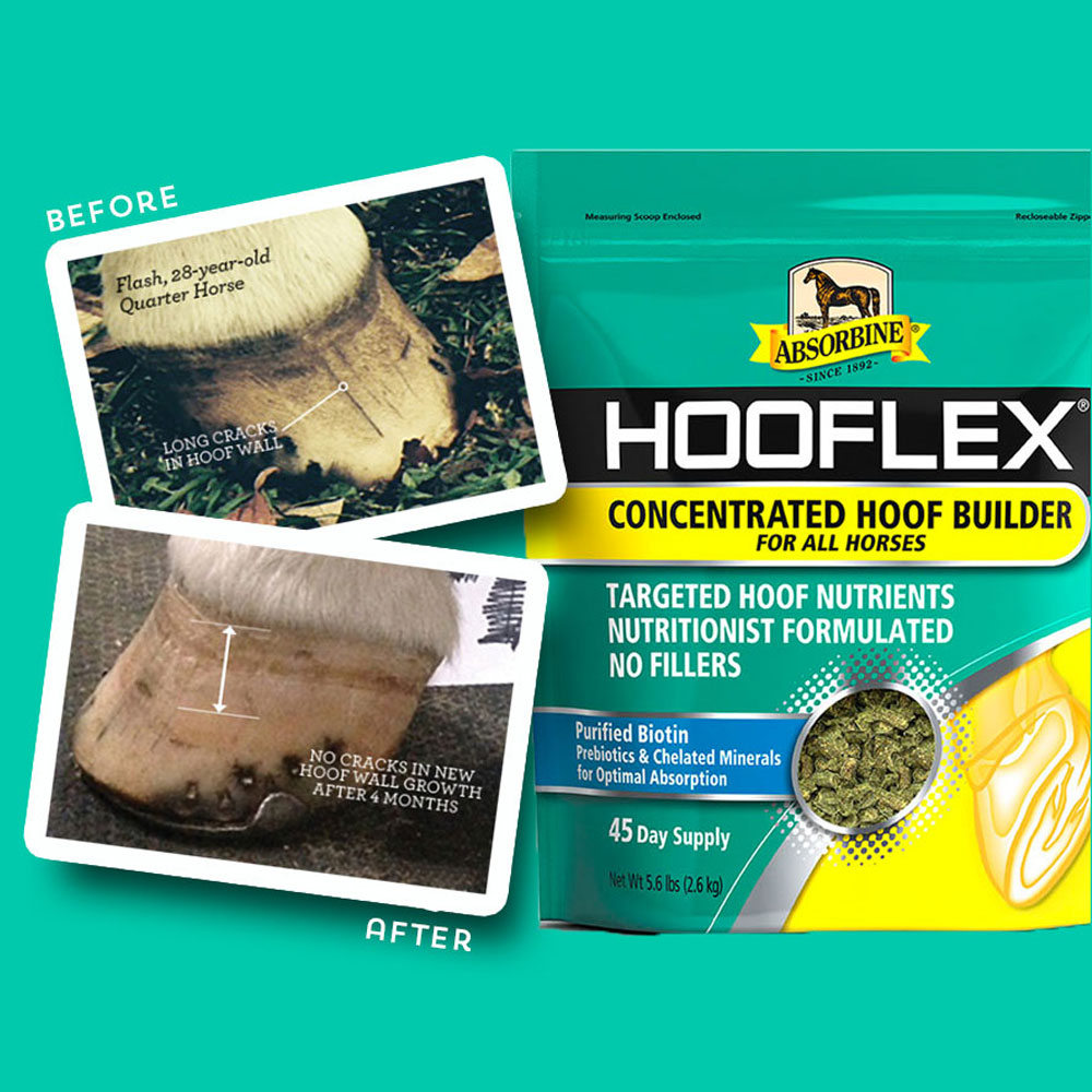 ABSORBINE-HOOFLEX-CONCENTRATED-HOOF-BUILDER-11LB