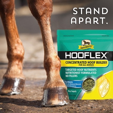 ABSORBINE-HOOFLEX-CONCENTRATED-HOOF-BUILDER-11LB