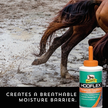 ABSORBINE-HOOFLEX-THERAPEUTIC-CONDITIONER-LIQUID-WITH-BRUSH-15OZ