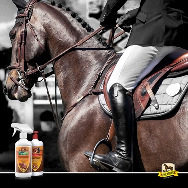 ABSORBINE-LEATHER-THERAPY-RESTORER-16-FL-OZ