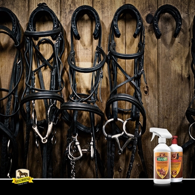 ABSORBINE-LEATHER-THERAPY-RESTORER-16-FL-OZ