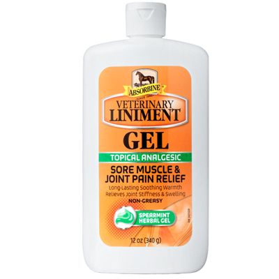 ABSORBINELINGEL12OZ