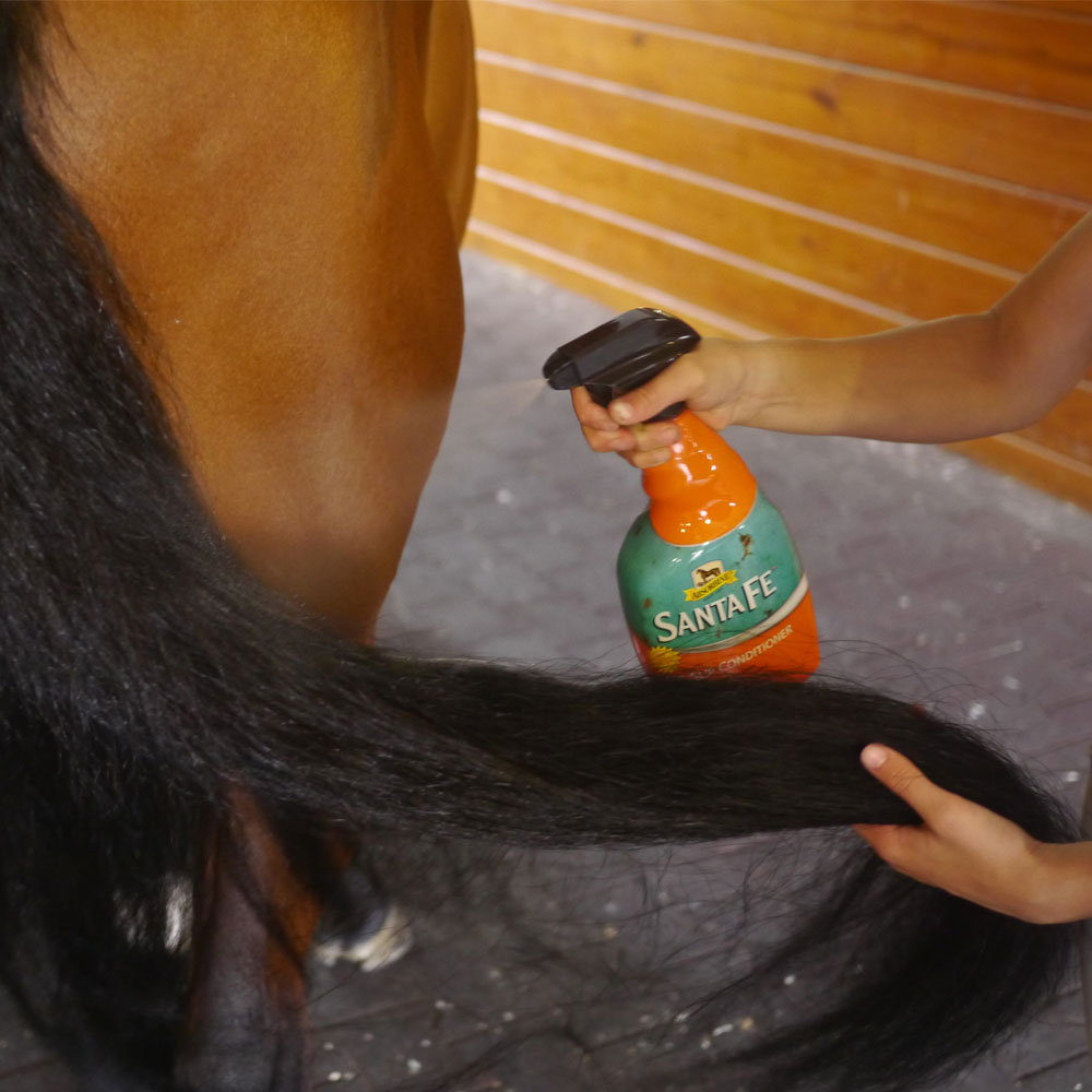 ABSORBINE-SANTA-FE-COAT-CONDITIONER-SUNSCREEN-32OZ