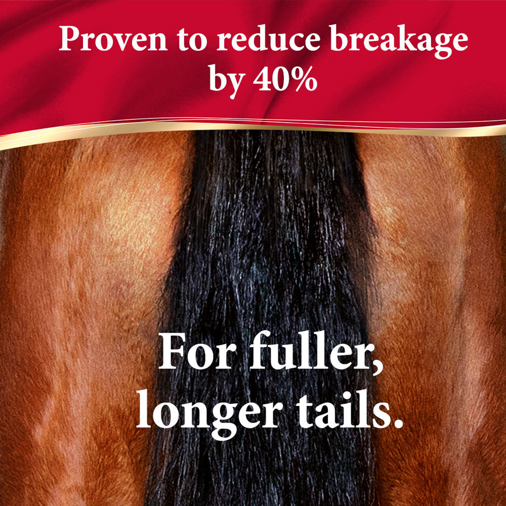ABSORBINE-SHOWSHEEN-SHINE-DETANGLER-SPRAY-1-QUART