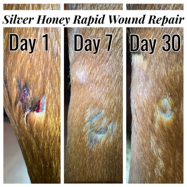 ABSORBINE-SILVER-HONEY-RAPID-WOUND-REPAIR-OINTMENT-2-OZ-TUBE
