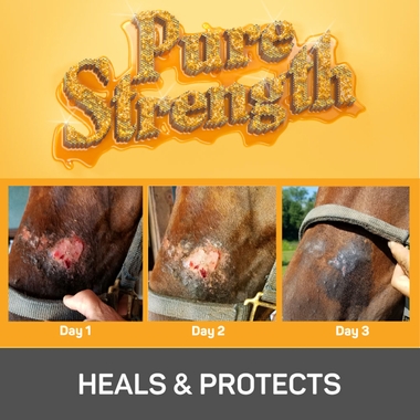 ABSORBINE-SILVER-HONEY-RAPID-WOUND-REPAIR-SPRAY-GEL-8-FL-OZ-BOTTLE