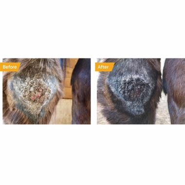 ABSORBINE-SILVER-HONEY-RAPID-WOUND-REPAIR-SPRAY-GEL-8-FL-OZ-BOTTLE