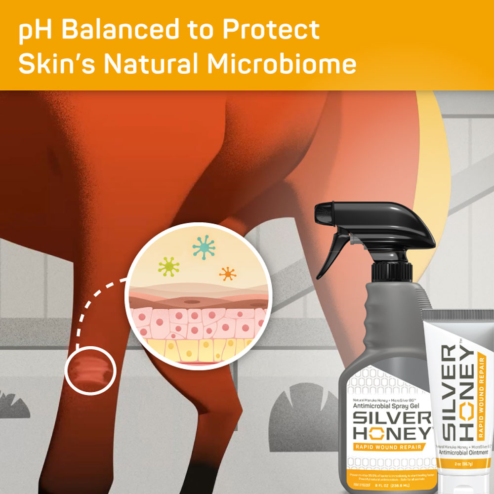 ABSORBINE-SILVER-HONEY-RAPID-WOUND-REPAIR-SPRAY-GEL-8-FL-OZ-BOTTLE
