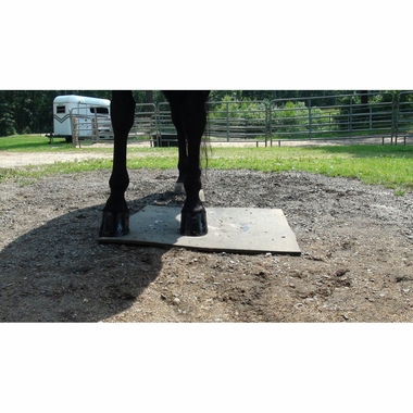 ABSORBINE-SUPERSHINE-HOOF-POLISH-BLACK-8OZ