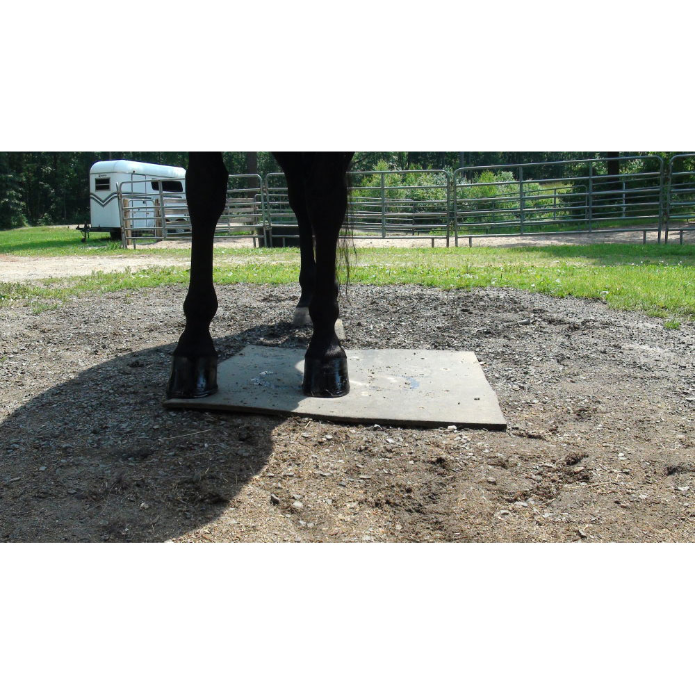 ABSORBINE-SUPERSHINE-HOOF-POLISH-BLACK-8OZ