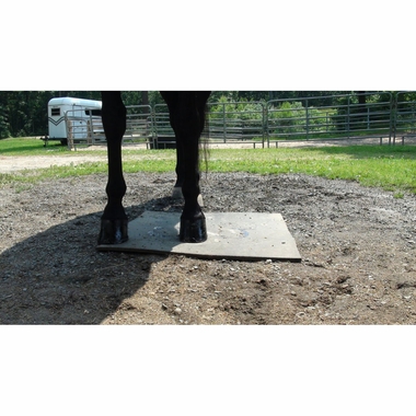 ABSORBINE-SUPERSHINE-HOOF-POLISH-BLACK-8OZ