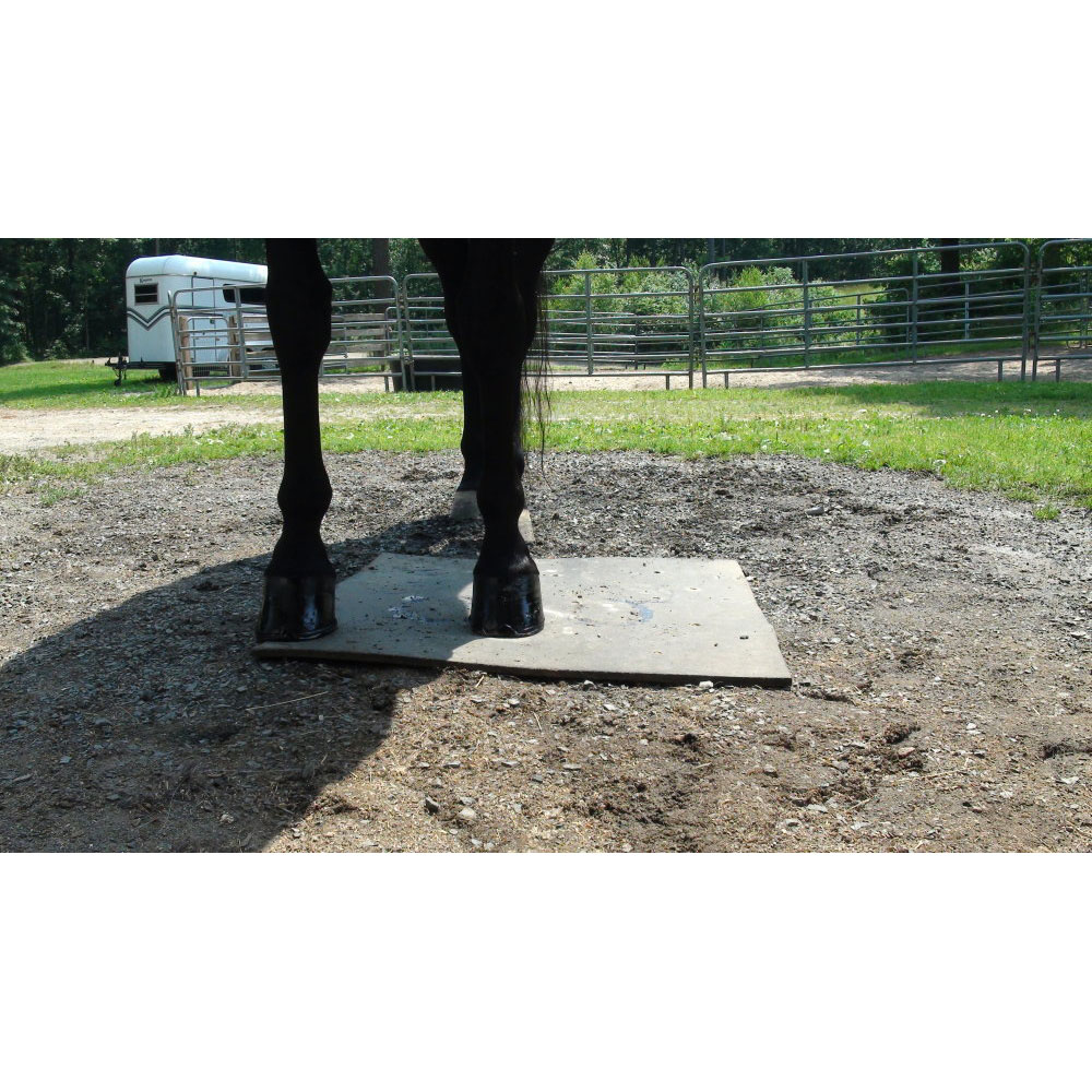 ABSORBINE-SUPERSHINE-HOOF-POLISH-BLACK-8OZ