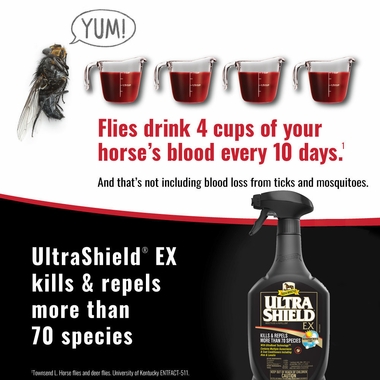 ABSORBINE-ULTRASHIELD-EX-INSECTICIDE-REPELLENT-SPRAY-32OZ