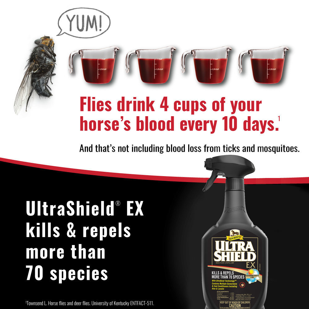 ABSORBINE-ULTRASHIELD-EX-INSECTICIDE-REPELLENT-SPRAY-32OZ