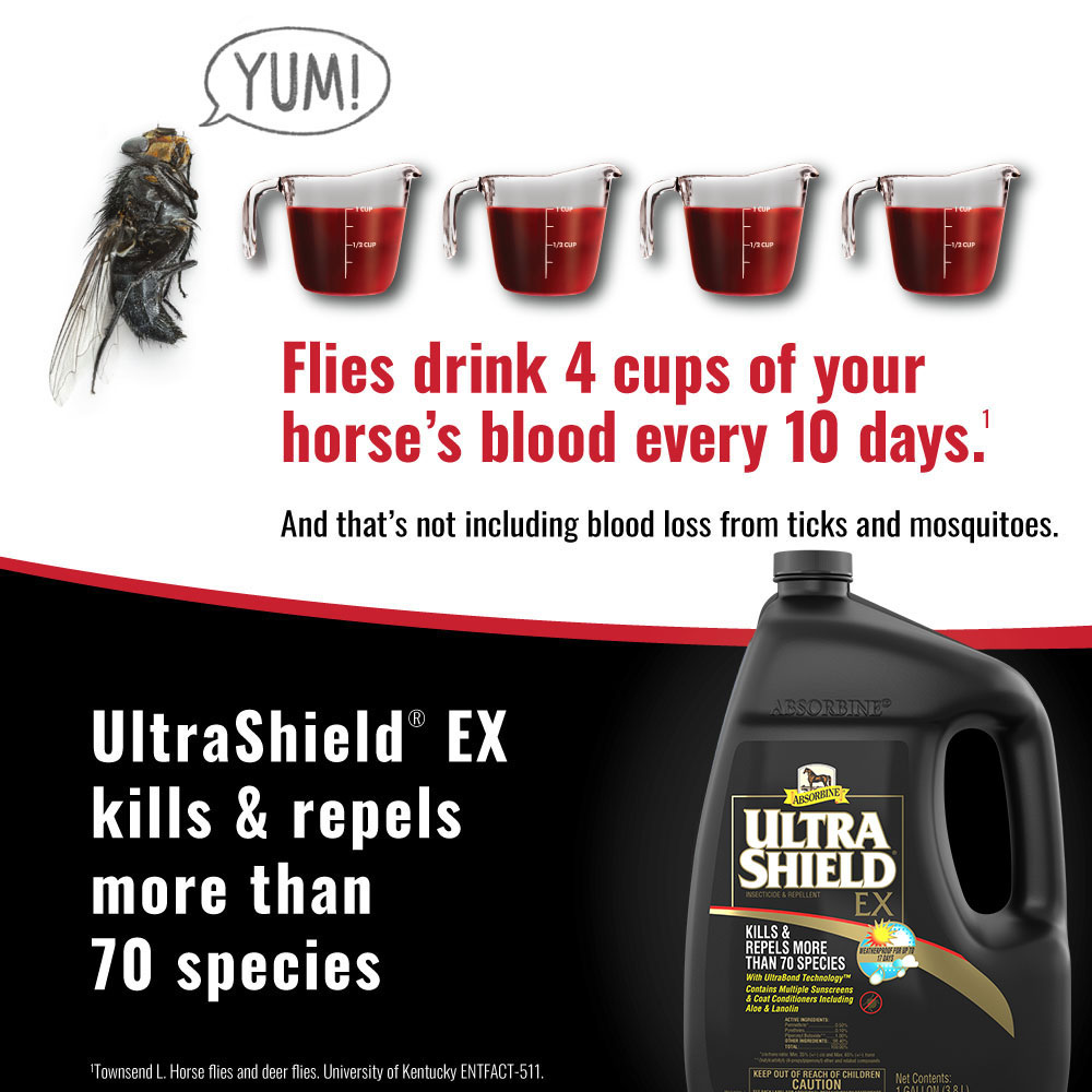 ULTRASHIELD-EX-REPELLENT-GALLON