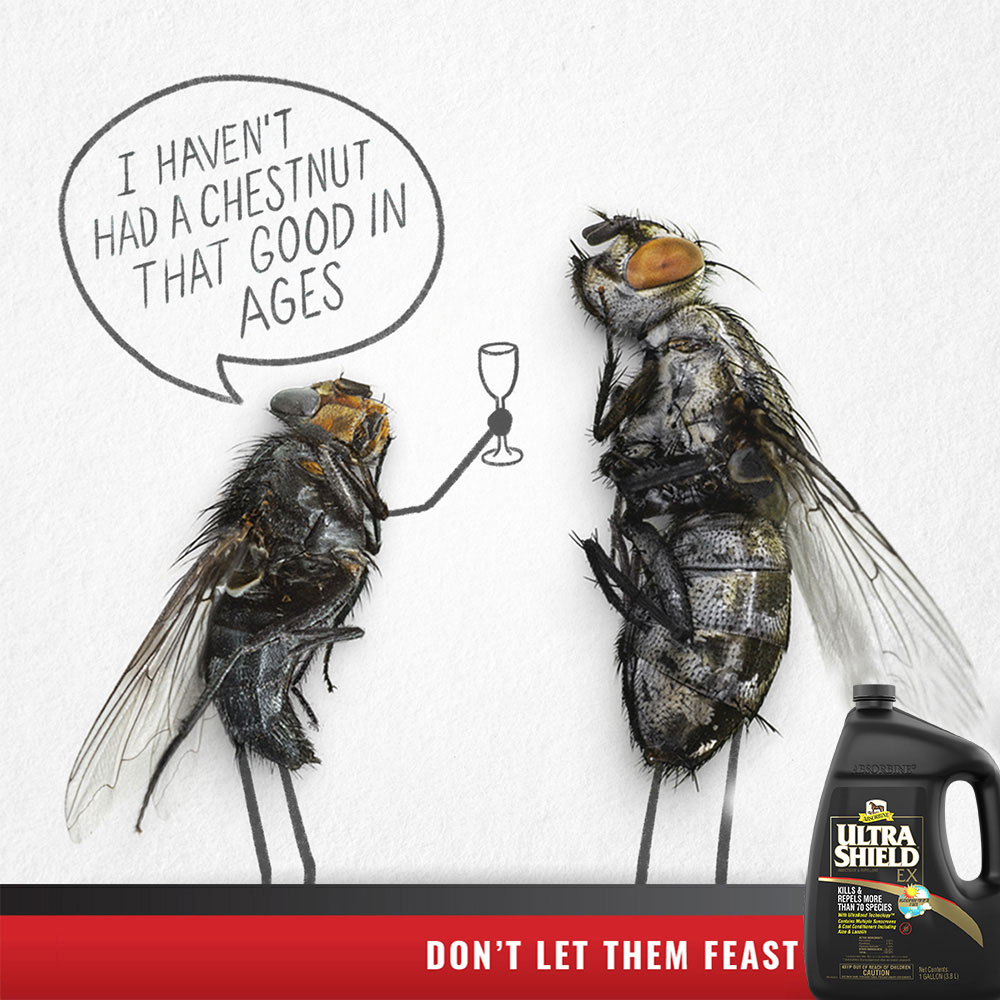 ULTRASHIELD-EX-REPELLENT-GALLON