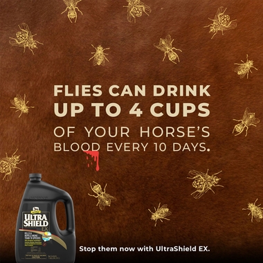 ULTRASHIELD-EX-REPELLENT-GALLON
