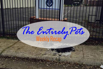 Abuse, Justice, and the Law: The EntirelyPets Weekly Recap