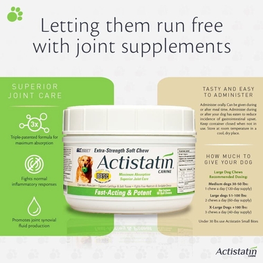 ACTISTATIN-CANINE-EXTRA-STRENGTH-SOFT-CHEWS-LARGE-60-CT