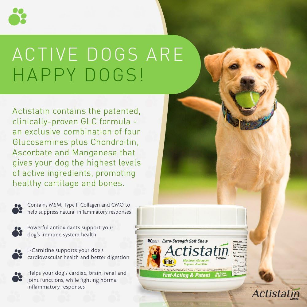 ACTISTATIN-CANINE-EXTRA-STRENGTH-SOFT-CHEWS-LARGE-60-CT