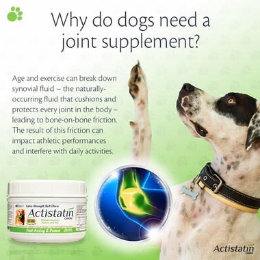 ACTISTATIN-CANINE-EXTRA-STRENGTH-SOFT-CHEWS-LARGE-60-CT