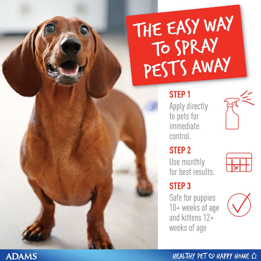 ADAMS-FLEA-TICK-SPRAY-16OZ