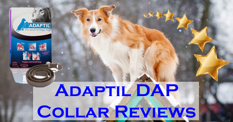Adaptil DAP Collar Reviews