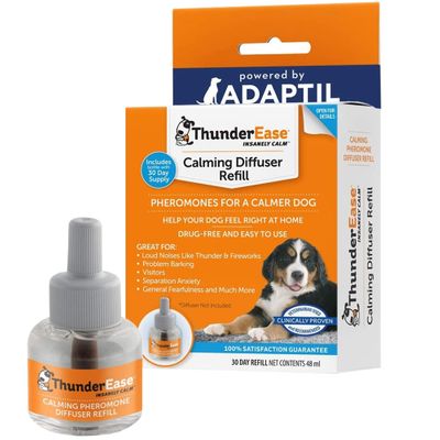 DAPDOGAPPHER1