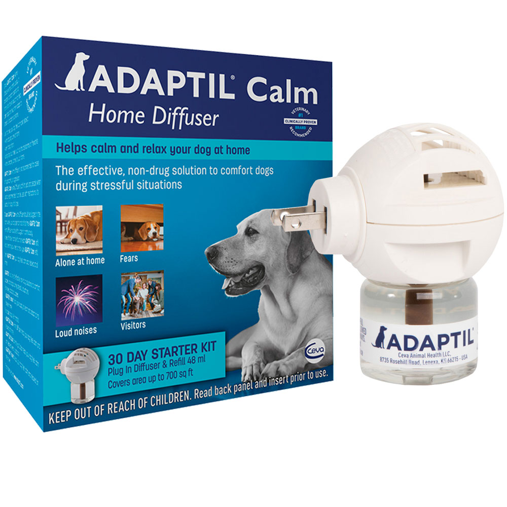 Anxiety Meds For Dogs Calming Aids More Entirelypets