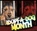 Adopt A Dog Month