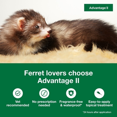 ADVANTAGE-II-FLEA-TREATMENT-FERRETS-ORANGE-2MNTH