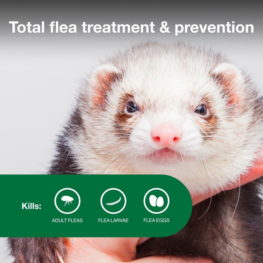 ADVANTAGE-II-FLEA-TREATMENT-FERRETS-ORANGE-2MNTH