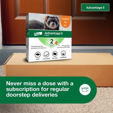 ADVANTAGE-II-FLEA-TREATMENT-FERRETS-ORANGE-2MNTH