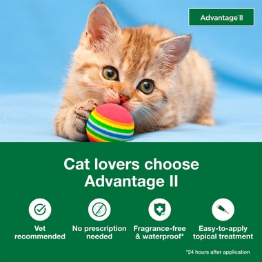 12-MONTH-ADVANTAGE-II-KITTENS