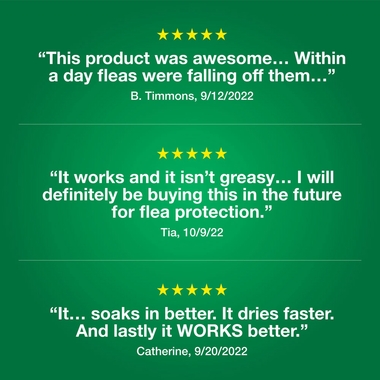 12-MONTH-ADVANTAGE-II-KITTENS