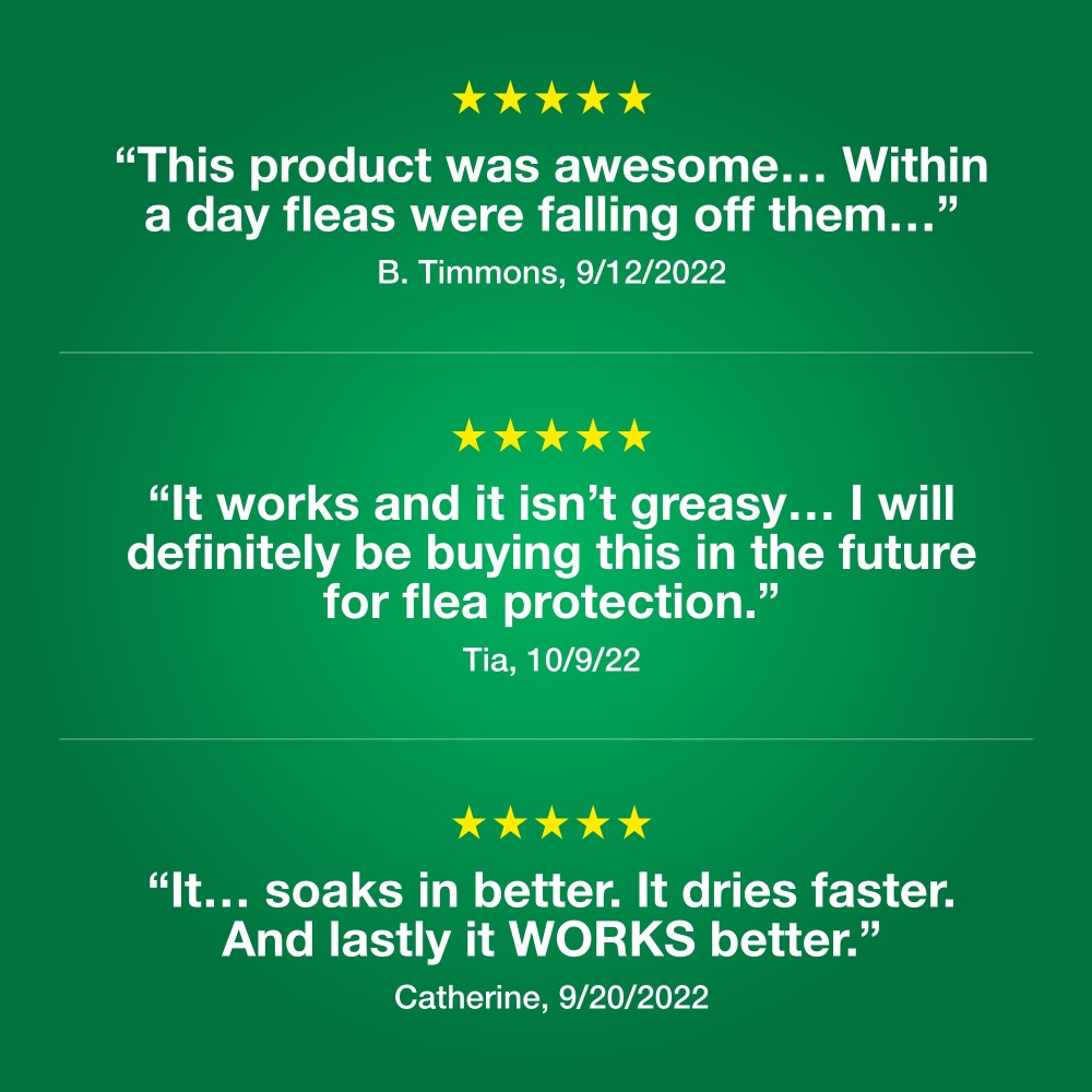 2-MONTH-ADVANTAGE-II-KITTENS