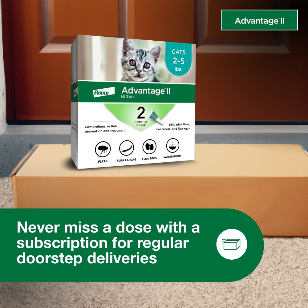 2-MONTH-ADVANTAGE-II-KITTENS