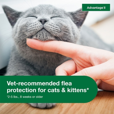 2-MONTH-ADVANTAGE-II-KITTENS-TAPEWORM