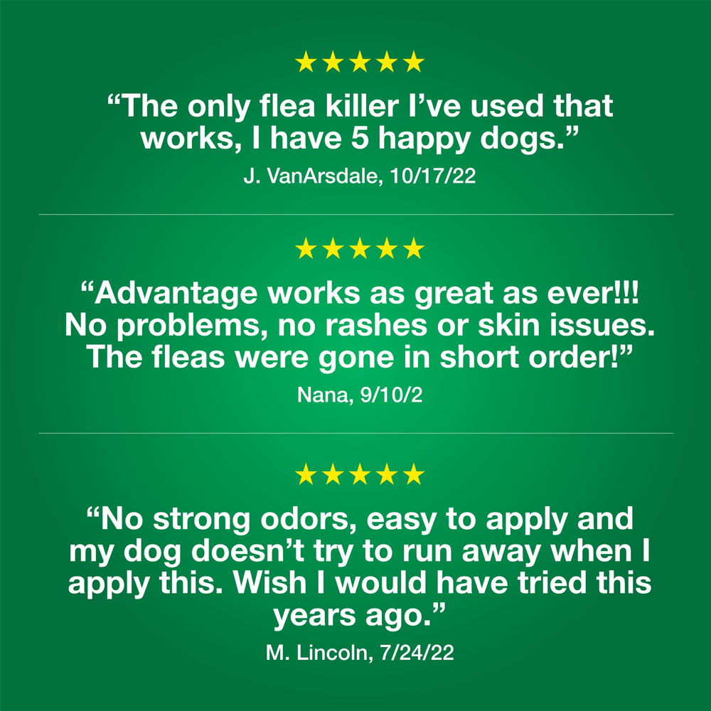 ADVANTAGE-II-LARGE-DOGS-12-MONTHS-TAPEWORM