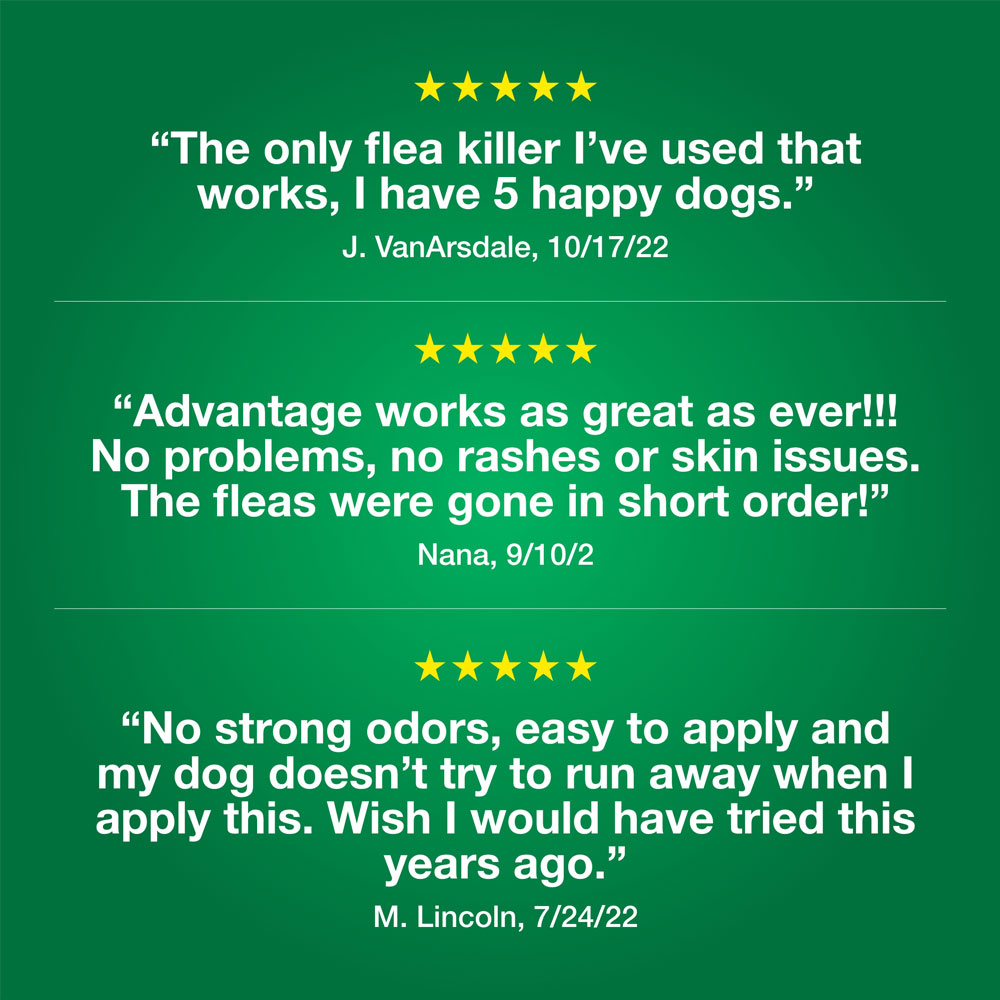 ADVANTAGE-II-MEDIUM-DOGS-6-MONTHS-TAPEWORM