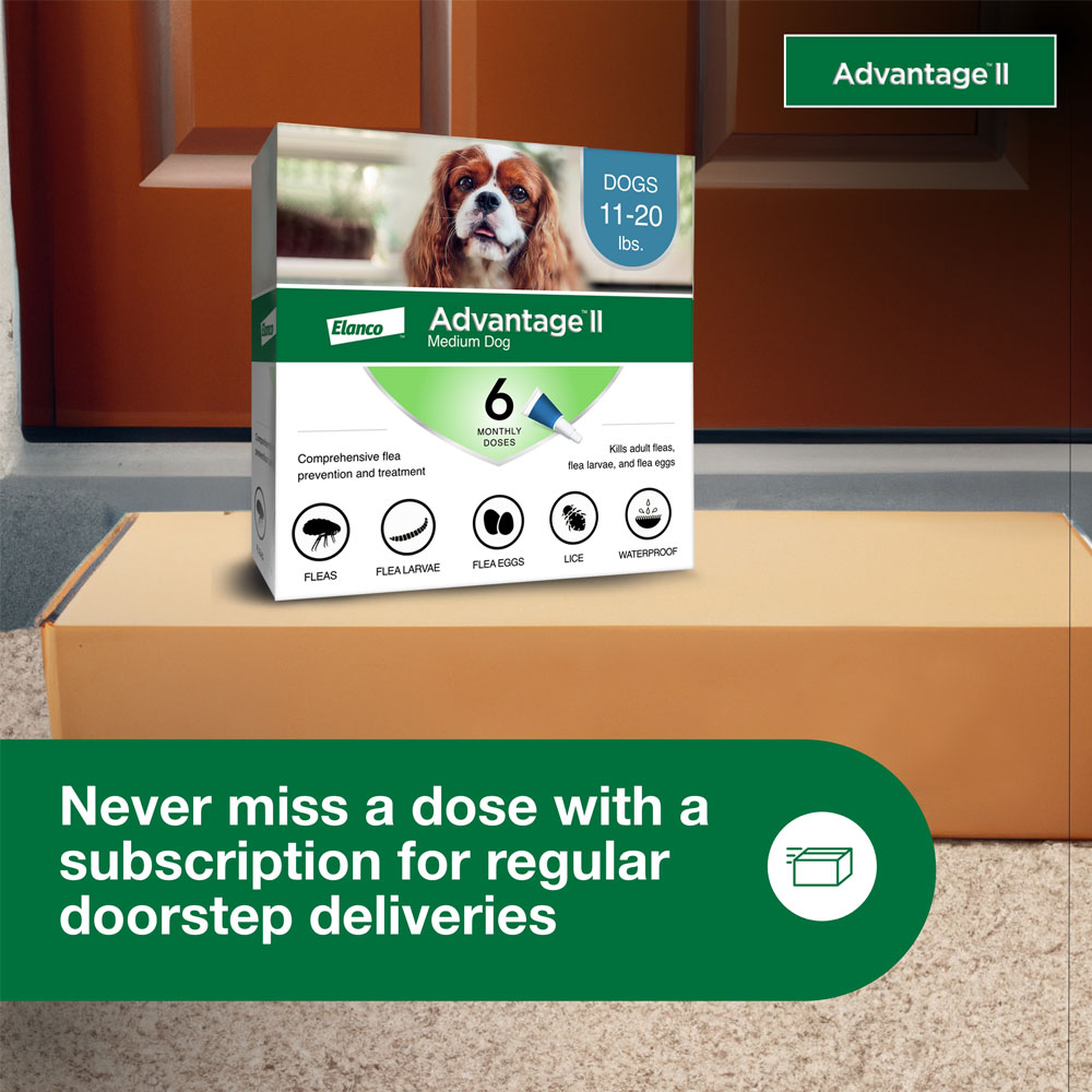 ADVANTAGE-II-MEDIUM-DOGS-6-MONTHS-TAPEWORM