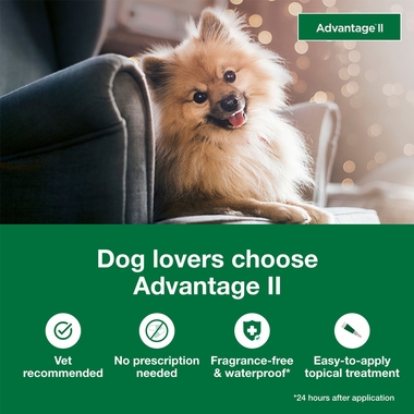 ADVANTAGEIIGREEN12
