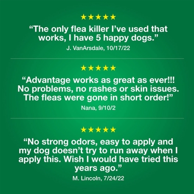 ADVANTAGEIIGREEN12