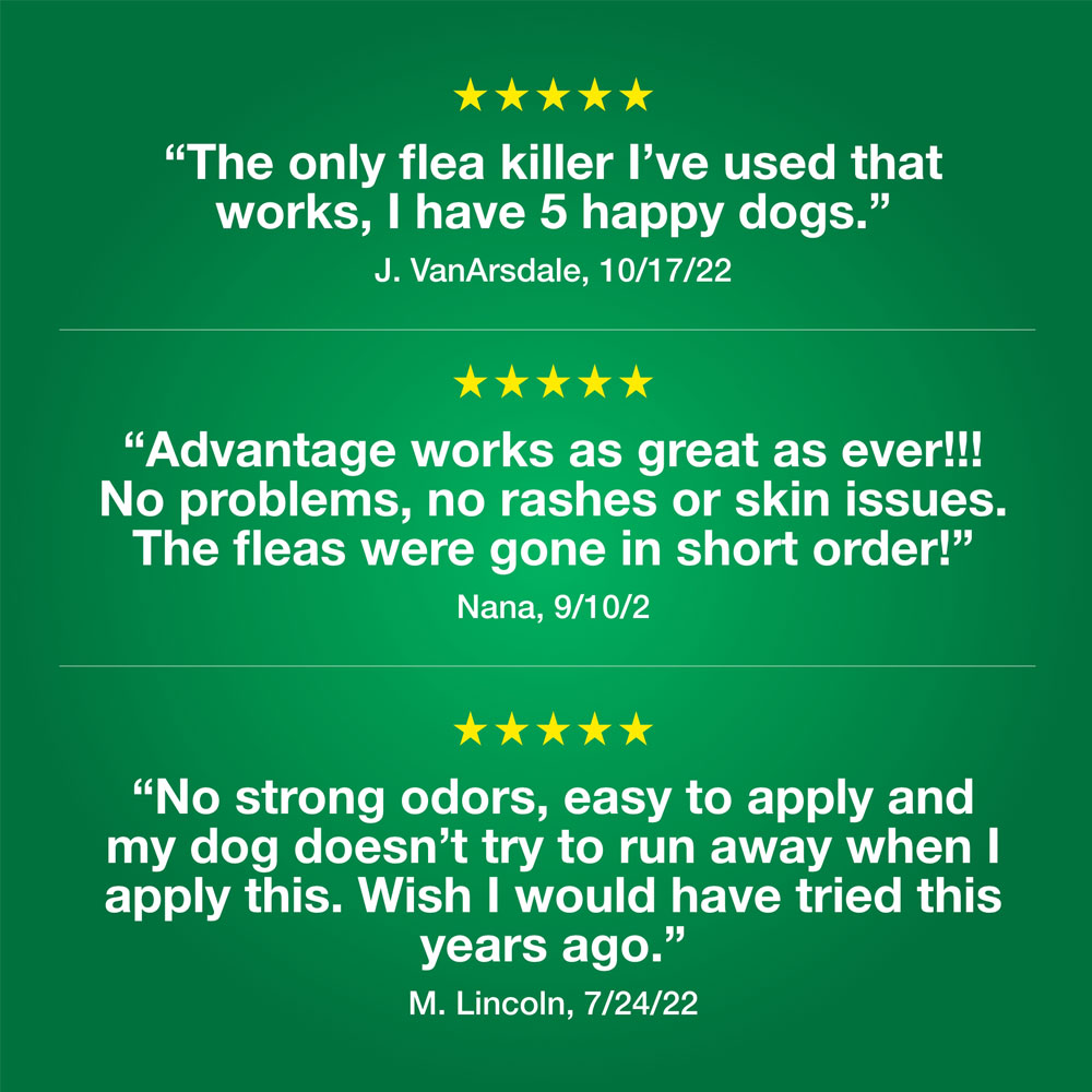 ADVANTAGEIIGREEN12