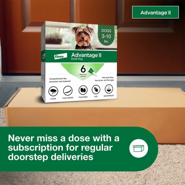 ADVANTAGEIIGREEN12
